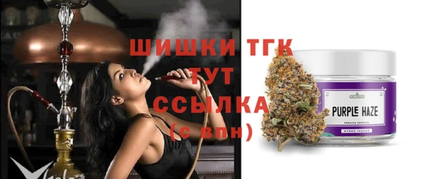 спайс Арсеньев