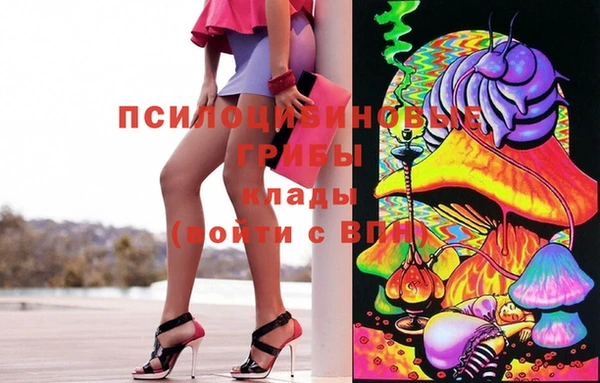 шишки Аркадак