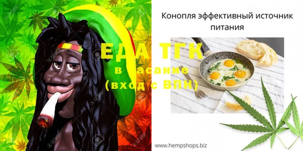 спайс Арсеньев