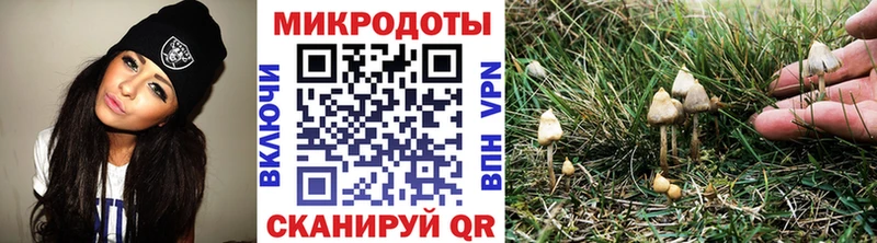 Псилоцибиновые грибы Psilocybe  Купить где  Ленинск 